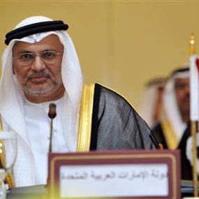 الإمارات تعلق على مصير مجلس التعاون الخليجي  الإمارات تعلق على مصير مجلس التعاون الخليجي