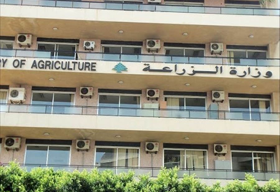 "الزراعة" تُتابع نشر متوسّط أسعار الجملة والتجزئة للحوم والخضار والفاكهة "الزراعة" تُتابع نشر متوسّط أسعار الجملة والتجزئة للحوم والخضار والفاكهة