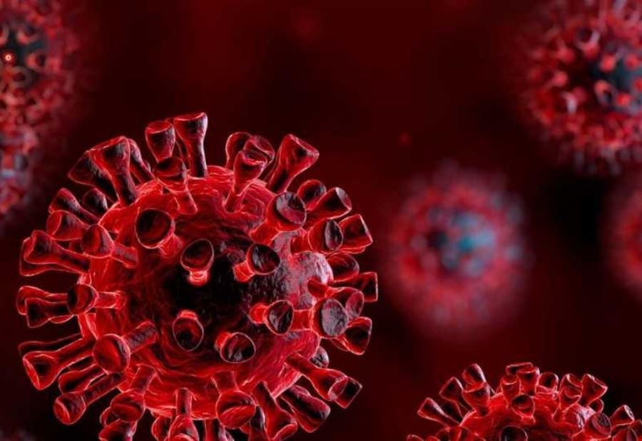 5 حالات جديدة في البابلية 5 حالات جديدة في البابلية