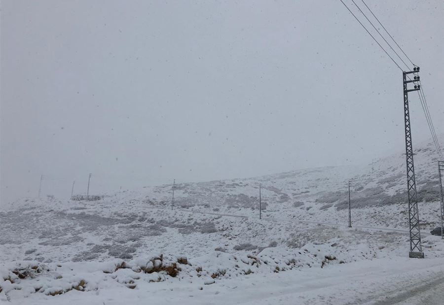 إليكم حال الطرقات صباحاً إليكم حال الطرقات صباحاً