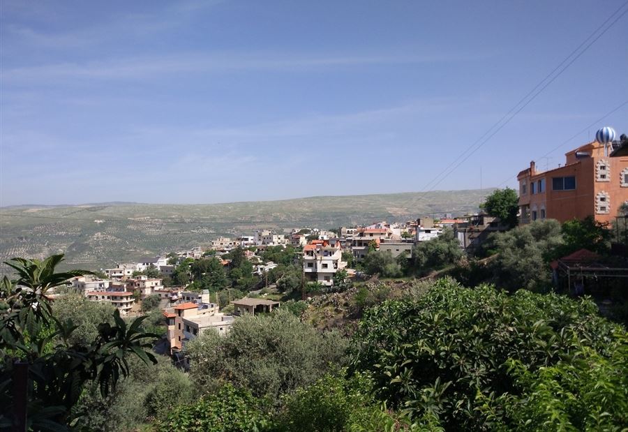 "سرعة بديهة" تنقذ طفلين من محاولة اختطاف في حاصبيا... تفاصيل الحادثة الغامضة! 