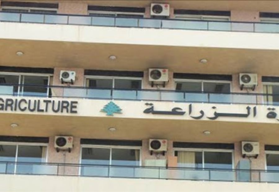 بشأن أسعار الجملة والتجزئة... اعلانٌ من "الزراعة"!
