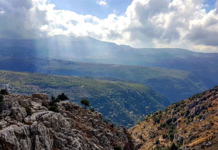 "حلقة من حلقات النهب المستمرة"