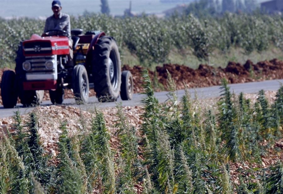 بالصور: عصابة تسرق المعدات الزراعية في البقاع..إليكم التفاصيل
