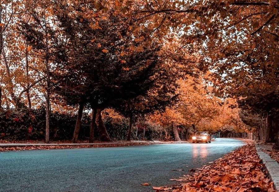 إليكم طقس الـ"Weekend"...