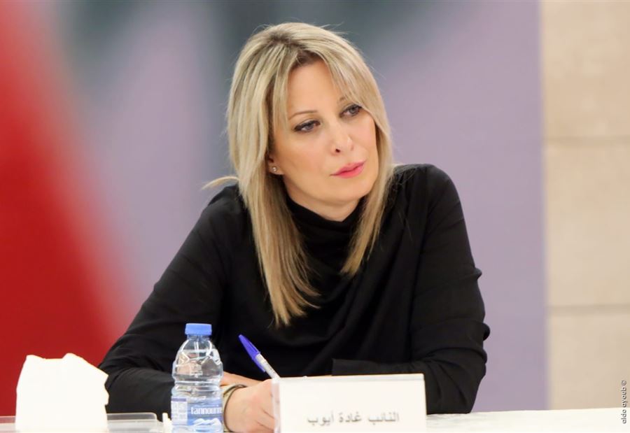 "إيران تُنشئ مطاراً في جنوب لبنان"... أيوب: على الحكومة الردّ