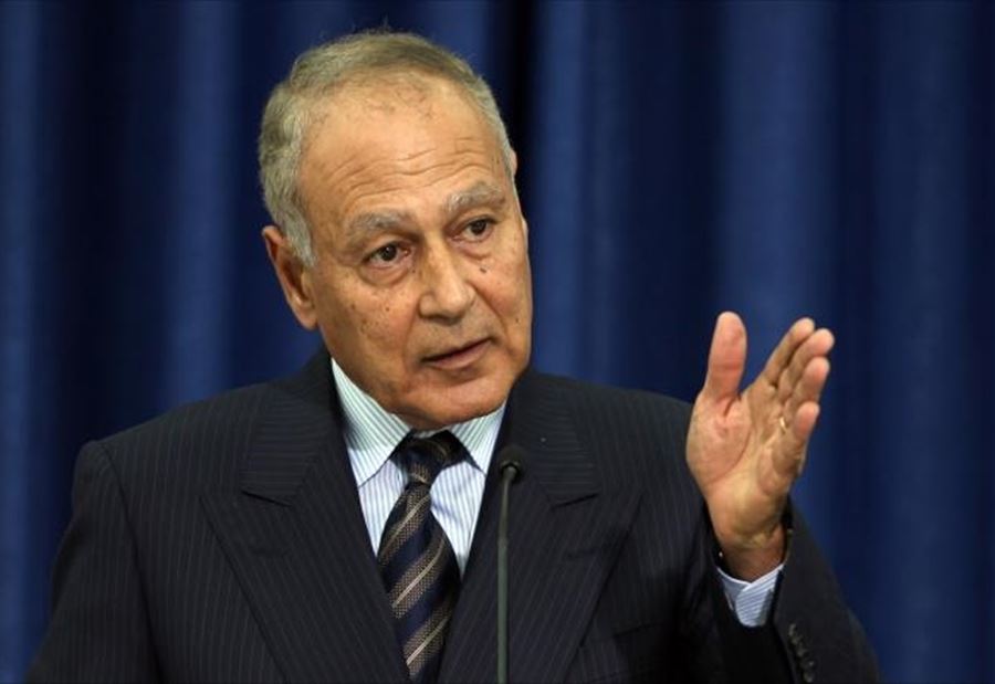 أبو الغيط: هذا الربيع كان مدمراً