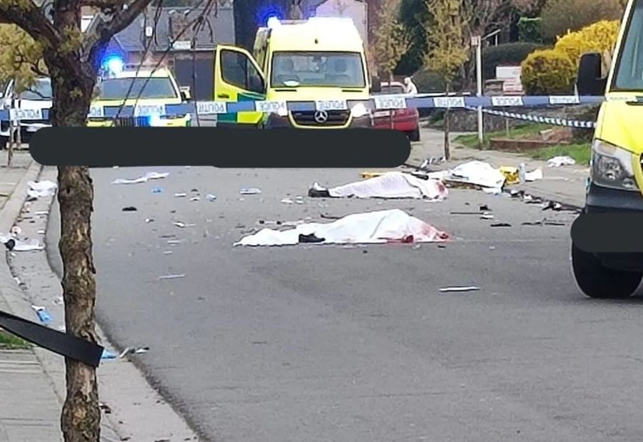 "كرنفال" تحوّل إلى مأساة... اليكم ما حصل!