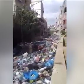 بالفيديو: نهر الغدير يتحول إلى نهر من النفايات!