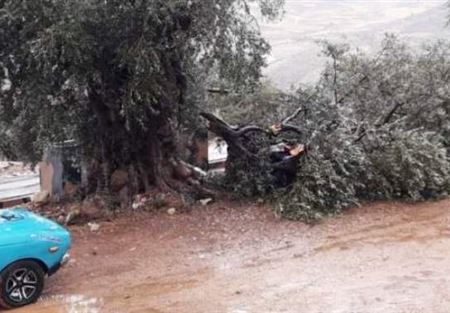 بالصورة: العاصفة تسببت باضرار مادية في النبطية