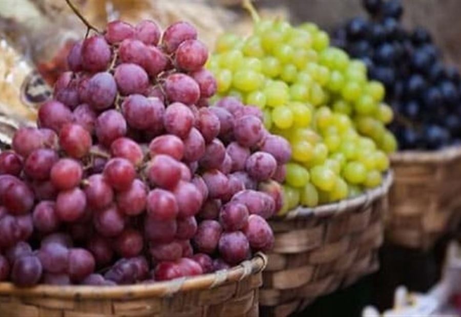  اقطعوا العنب لأطفالكم وإلا!