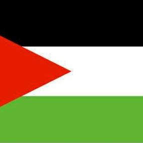 منظمة التحرير: زيارة بان مكسبا وطنيا