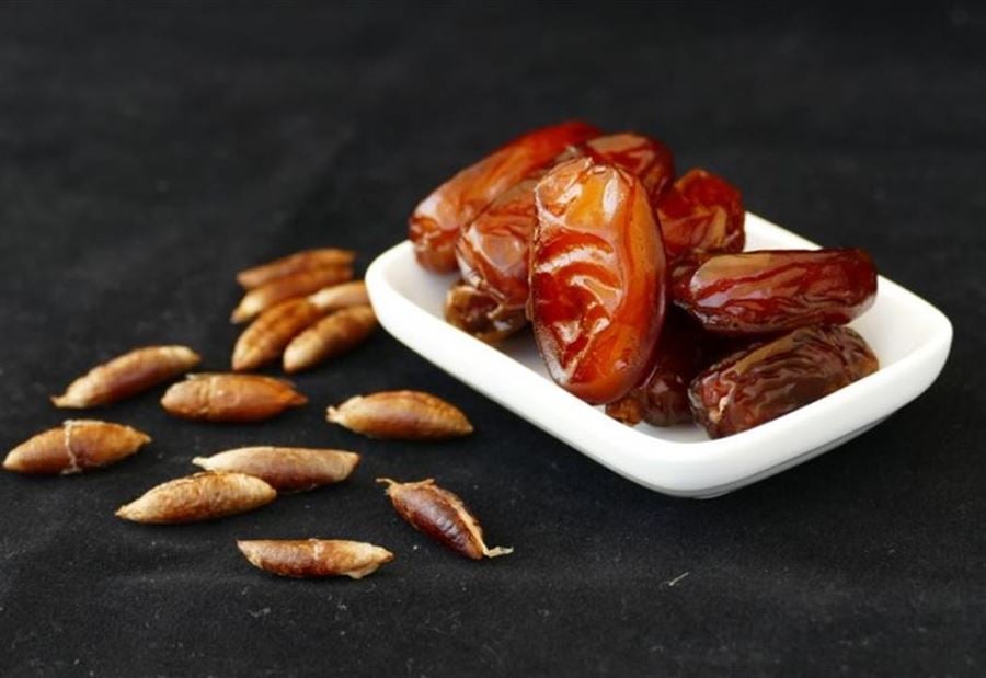 نواة التمر... غذاء مفيد و"دواء سحري" في رمضان