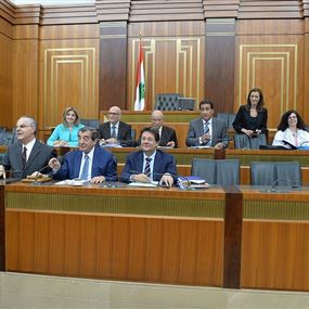 فرزلي: تأليف لجنة فرعية برئاسة كنعان لدرس بعض المسائل 
