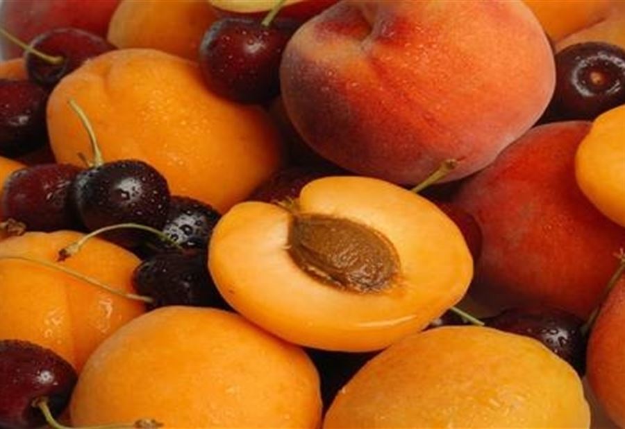 منتجات صيفية مثالية لتحسين الحالة الصحية