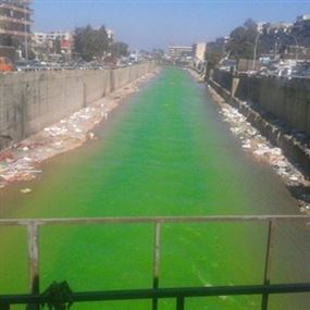 بالصور... نهر أبو علي باللون الأخضر 