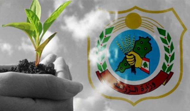 بعد خبر "ليبانون ديبايت"... وزارة الزراعة توضح 
