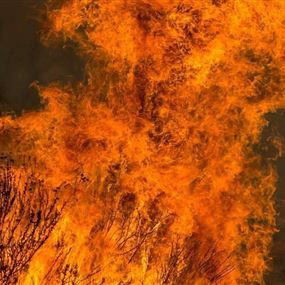 ارتفاع حصيلة ضحايا الحرائق في كاليفورنيا إلى 23 قتيلاً ارتفاع حصيلة ضحايا الحرائق في كاليفورنيا إلى 23 قتيلاً