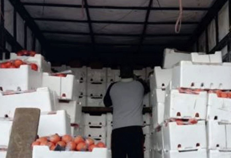 ضبط شاحنة مُحمَّلة بالبندورة السورية المُهرّبة