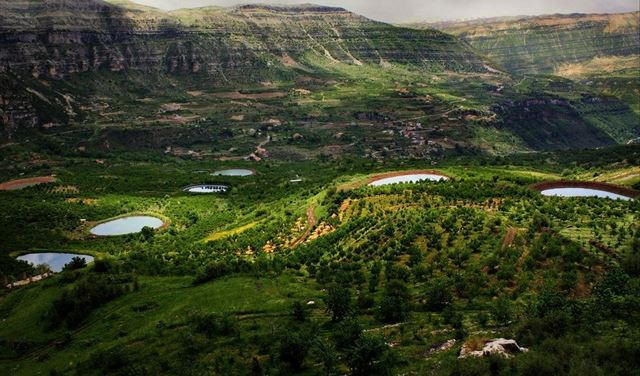 بعد مشروع 