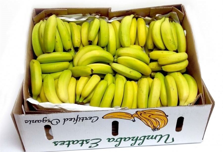 50 ألف طن من الموز من لبنان إلى سوريا! 