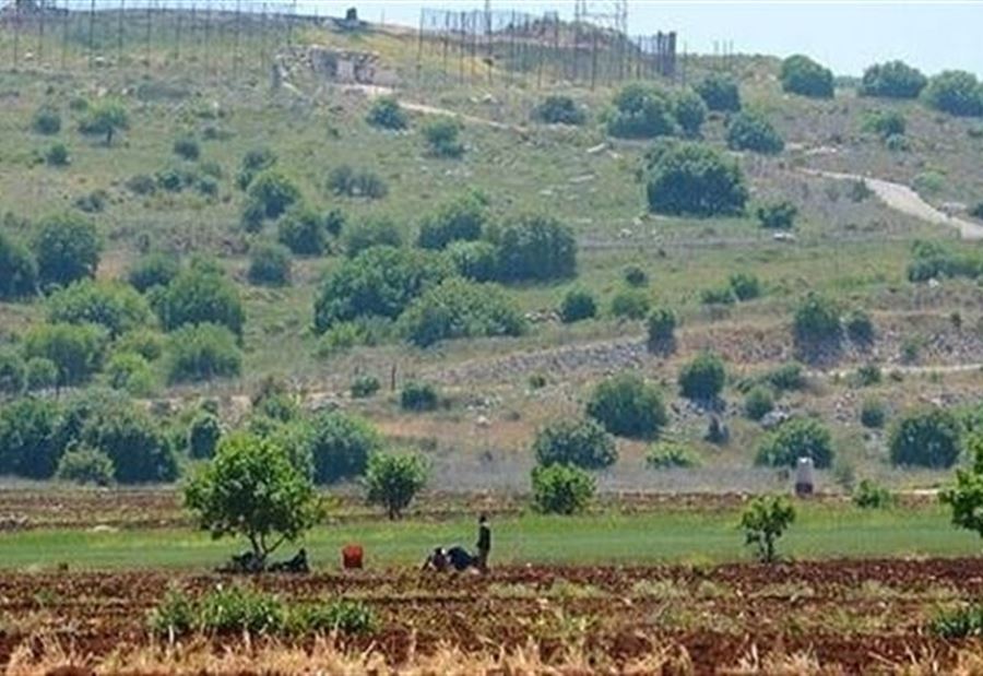 "مشروع" بين وزارة الزراعة والجيش سينتهي خلال شهر 