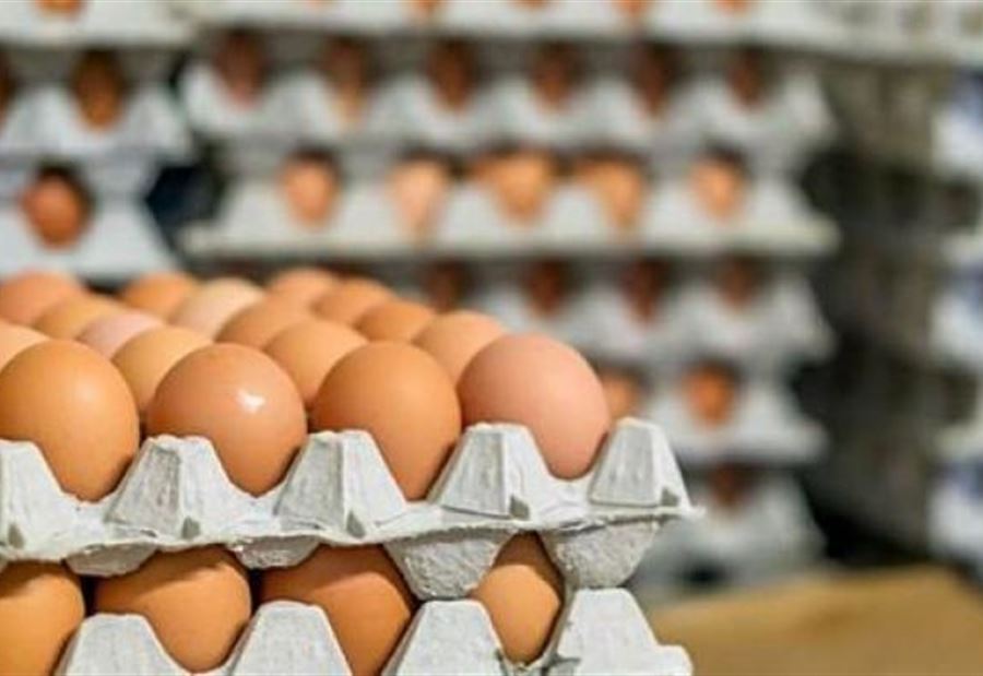 هل سعر كرتونة البيض سيبقى على حاله؟