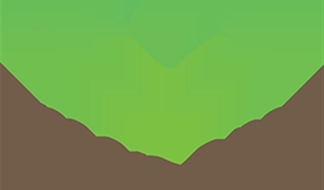 Green Area: قتل النوارس جريمة بيئية 