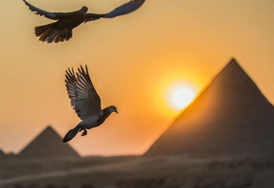 مصر تكشف عن سيناريو عرضته على إثيوبيا حول سد النهضة