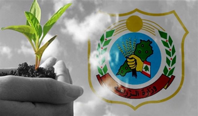 قرار لوزارة الزراعة عن آلية تنظيم إنشاء الحدائق العامة قرار لوزارة الزراعة عن آلية تنظيم إنشاء الحدائق العامة