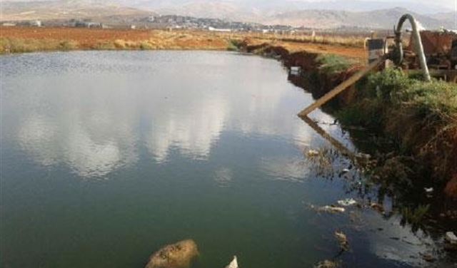 146 مزرعة تستخدم المياه الملوثة من الليطاني  146 مزرعة تستخدم المياه الملوثة من الليطاني