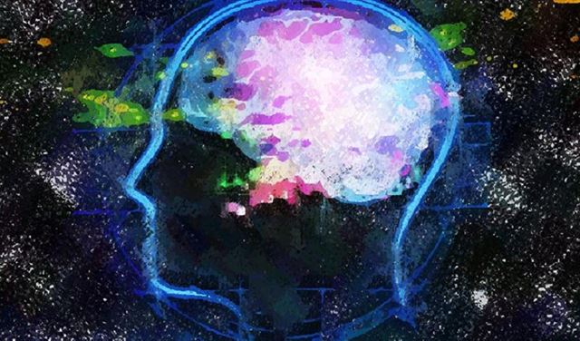 مفاجأة.. مركز الحب يقع في الدماغ!