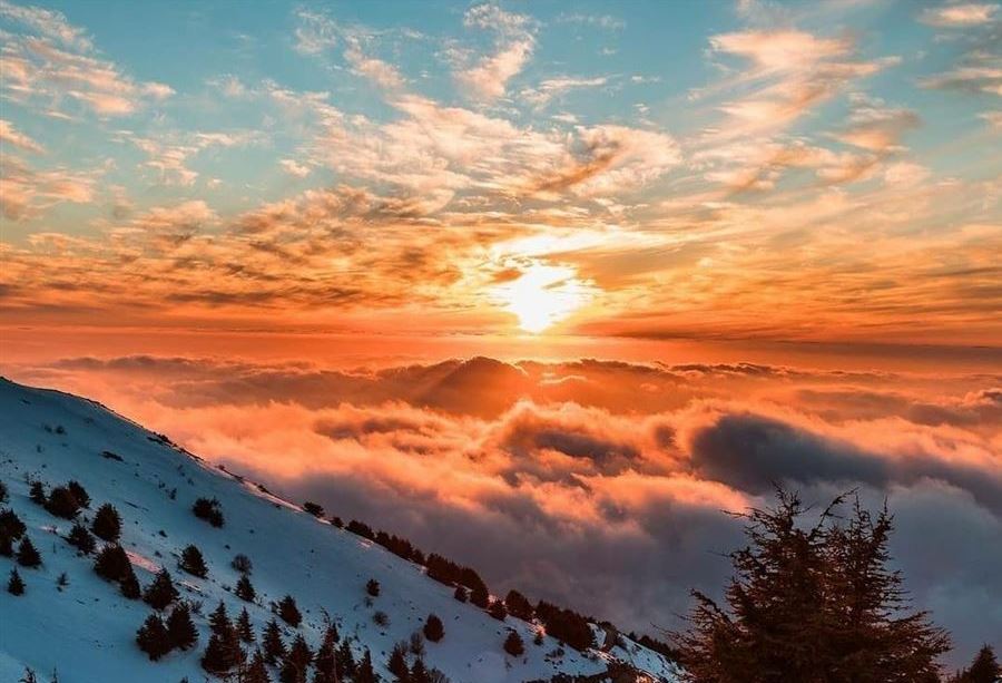 لبنان في حالة "استثنائية" اليوم... انتظروا ما يحمله الأسبوع المقبل! 