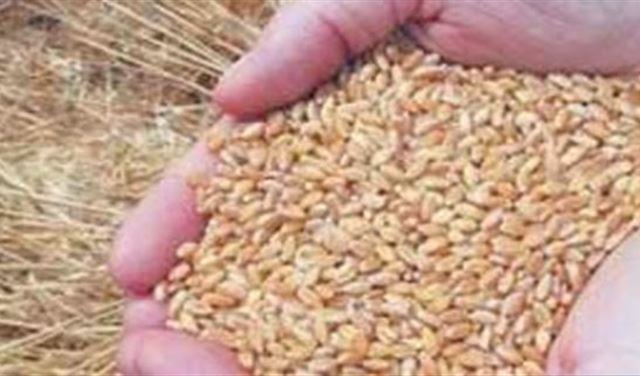 قضية مطاحن لبنان : تقرير وزارة الزراعة "مزوّر"!