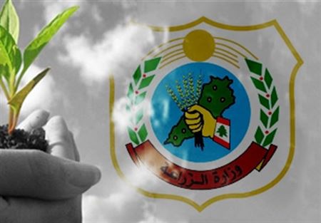 6 قرارات للزراعة عن الشروط الصحية للمواد الغذائية