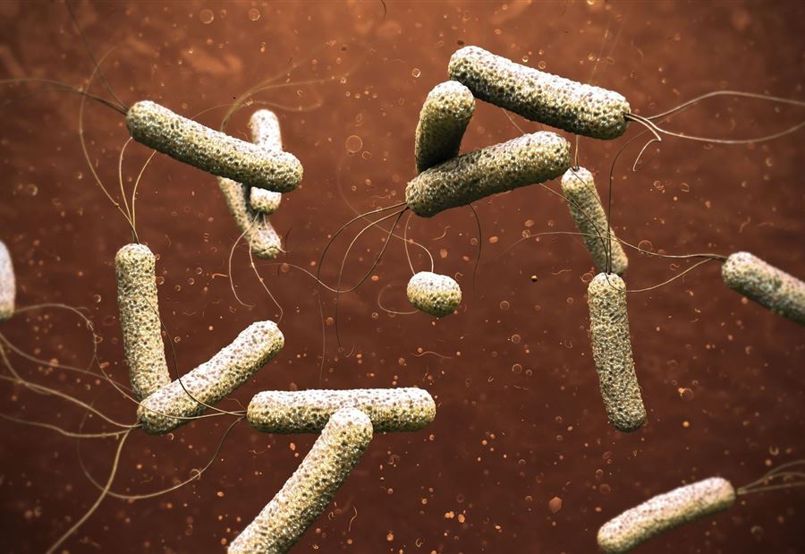 حالة تُثير الفزع... معلومات "هامّة" حول علاج "الكوليرا" حالة تُثير الفزع... معلومات "هامّة" حول علاج "الكوليرا"