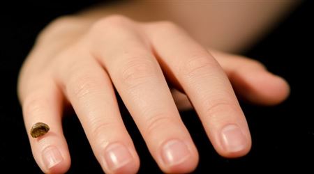 الإنسان الأول تزاوج مع فصيلة غامضة من البشر