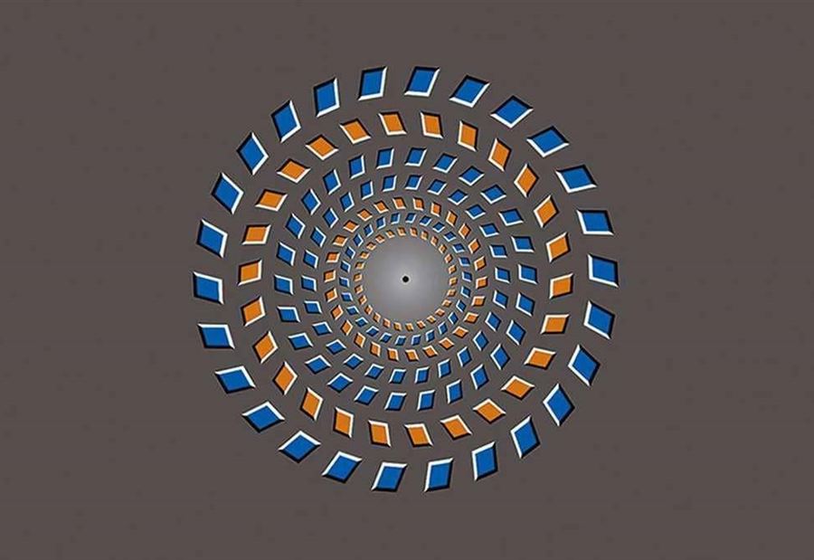 صورة تتحدى المنطق