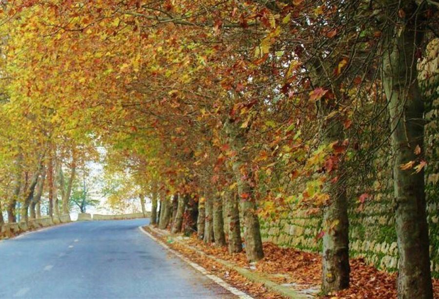 طقسٌ خريفي "دافئ" يُسيطر على لبنان طقسٌ خريفي "دافئ" يُسيطر على لبنان
