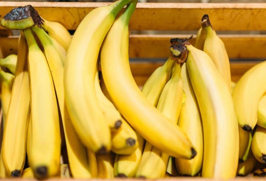 هرّبوا الموز الى سوريا.. فأوقفوا بتهمة تبييض أموال