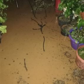 بالفيديو: سيول في بلدة نحلة نتيجة الأمطار الغزيرة