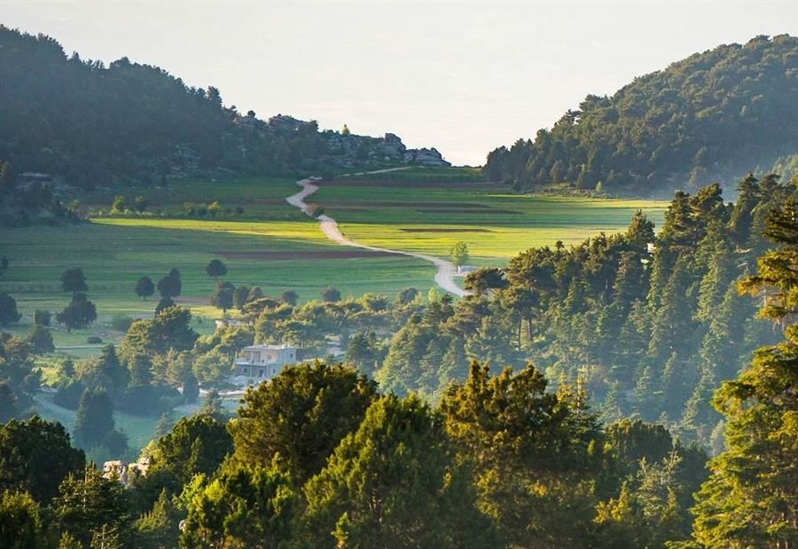 "طير الفري" يفجع أهالي عكار... إليكم التفاصيل! 