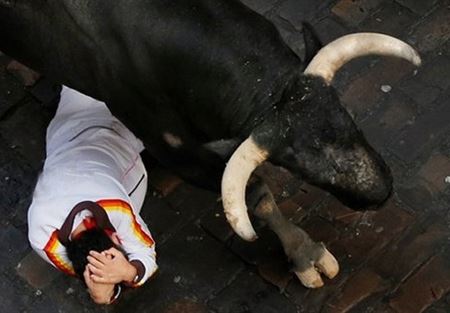 ثور مصارعة يفر من قفصه ويجرح ثلاثة أشخاص 