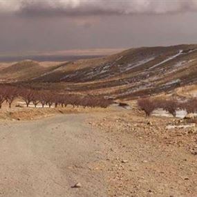 سقوط طائرة استطلاع للجيش فوق عرسال.. وداعش يتبنى!