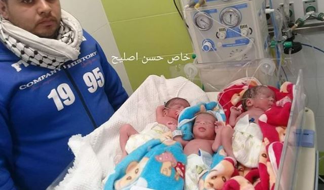 ميلاد 3 توائم.. قدس عاصمة فلسطين