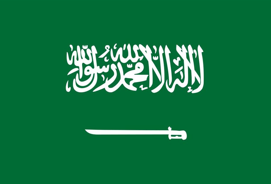 "هل تريد السعودية أن تحاصر العهد وتستنزفه وتبتزه؟"