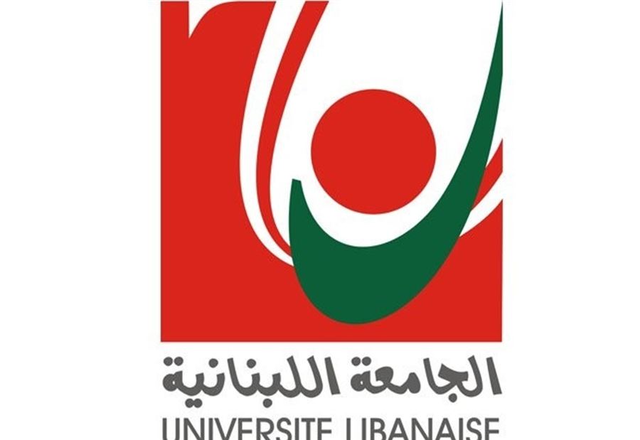 متفرغو اللبنانية التقوا الجسر لعرض مطالبهم 