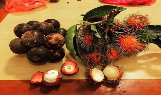 تعرف إلى أكثر أنواع الفاكهة ندرة في العالم