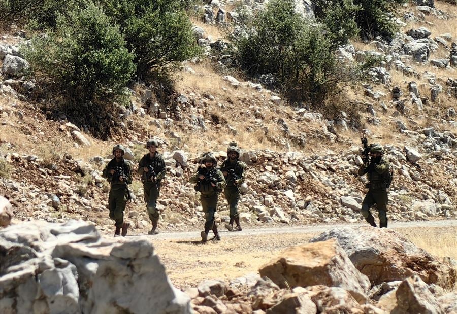 بالصور: جولةٌ لنائب على الحدود... واستنفار!