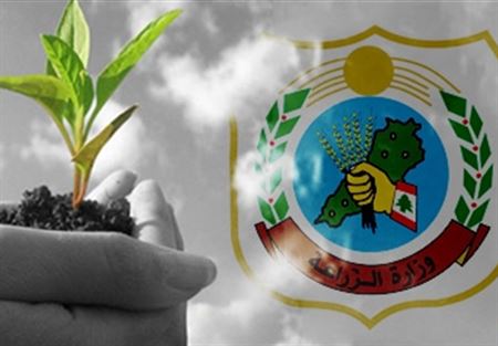 وزارة الزراعة: لاستيراد الخضار من الاردن